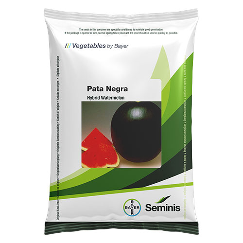 Bayer Crop Science India